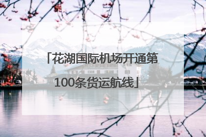 花湖国际机场开通第100条货运航线