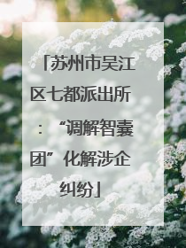 苏州市吴江区七都派出所：“调解智囊团”化解涉企纠纷