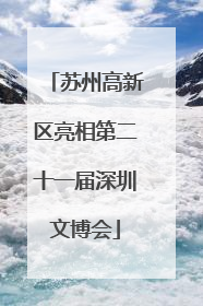 苏州高新区亮相第二十一届深圳文博会