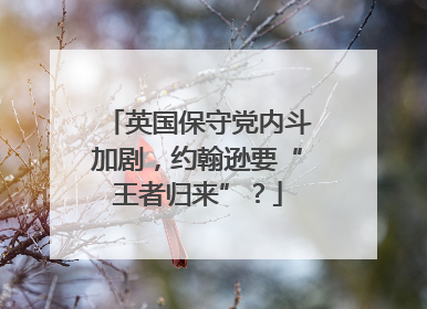 英国保守党内斗加剧，约翰逊要“王者归来”？