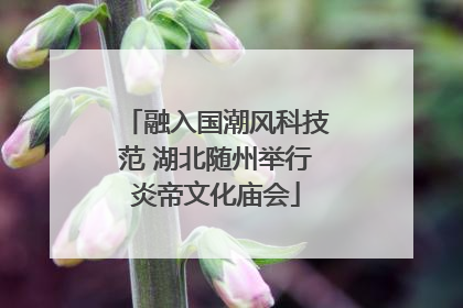 融入国潮风科技范 湖北随州举行炎帝文化庙会