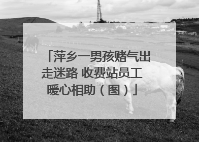 萍乡一男孩赌气出走迷路 收费站员工暖心相助（图）