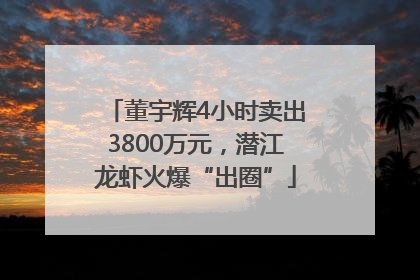 董宇辉4小时卖出3800万元，潜江龙虾火爆“出圈”