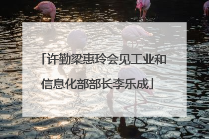 许勤梁惠玲会见工业和信息化部部长李乐成