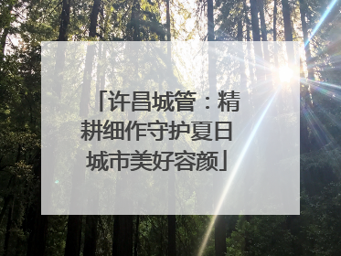 许昌城管：精耕细作守护夏日城市美好容颜