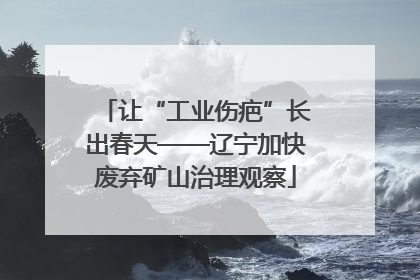 让“工业伤疤”长出春天——辽宁加快废弃矿山治理观察
