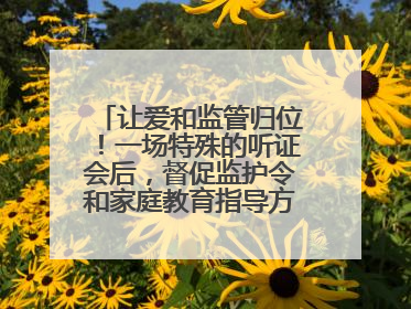 让爱和监管归位！一场特殊的听证会后，督促监护令和家庭教育指导方案同时送达