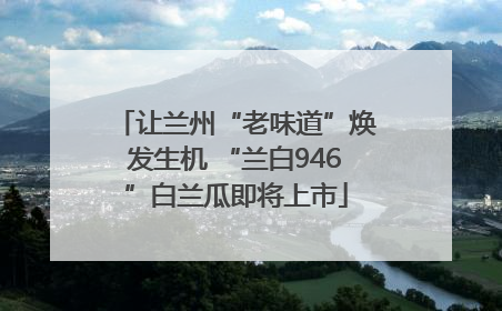 让兰州“老味道”焕发生机 “兰白946”白兰瓜即将上市