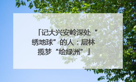记大兴安岭深处“绣地球”的人：层林揽梦“绘绿洲”