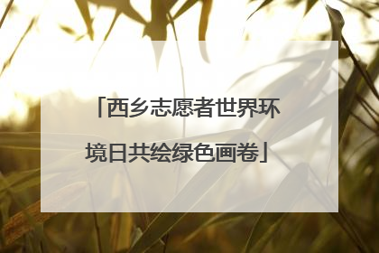 西乡志愿者世界环境日共绘绿色画卷