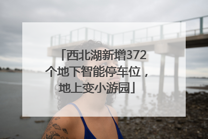 西北湖新增372个地下智能停车位，地上变小游园