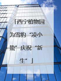 西宁植物园为雪豹“凌小蛰”庆祝“新生”