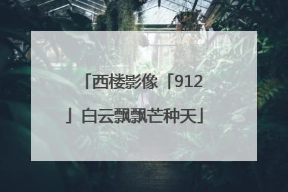 西楼影像「912」白云飘飘芒种天