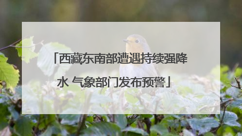 西藏东南部遭遇持续强降水 气象部门发布预警