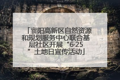 襄阳高新区自然资源和规划服务中心联合基层社区开展“6·25”土地日宣传活动