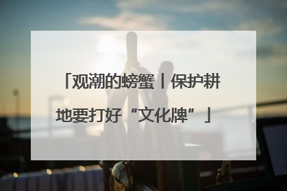 观潮的螃蟹丨保护耕地要打好“文化牌”