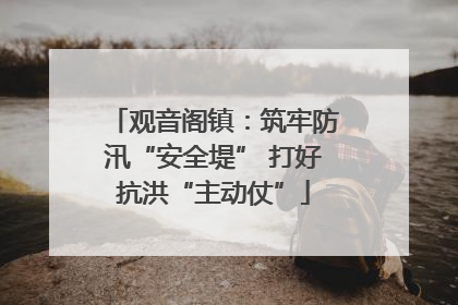 观音阁镇：筑牢防汛“安全堤” 打好抗洪“主动仗”