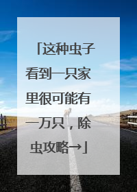 这种虫子看到一只家里很可能有一万只，除虫攻略→