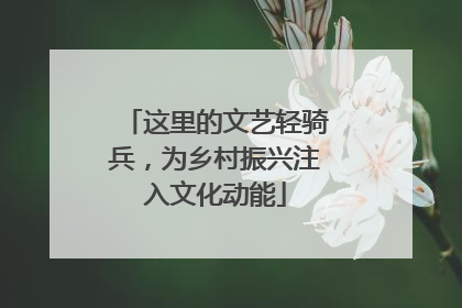 这里的文艺轻骑兵，为乡村振兴注入文化动能