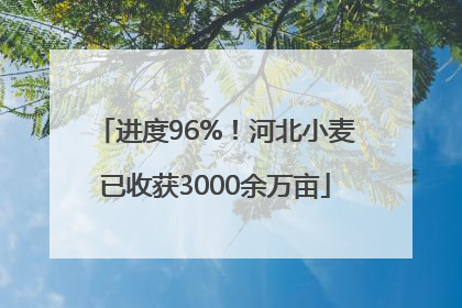 进度96%！河北小麦已收获3000余万亩