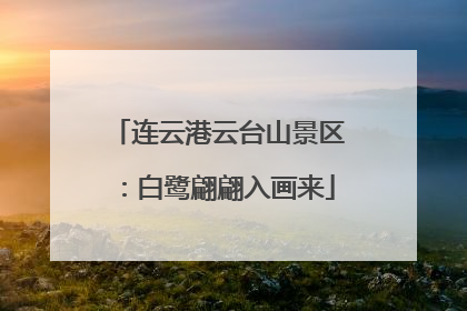 连云港云台山景区：白鹭翩翩入画来