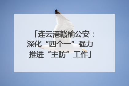 连云港赣榆公安：深化“四个一”强力推进“主防”工作