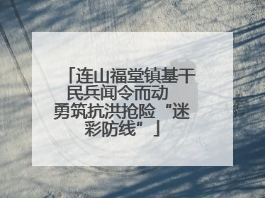 连山福堂镇基干民兵闻令而动  勇筑抗洪抢险“迷彩防线”