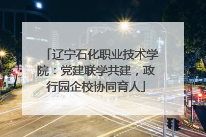辽宁石化职业技术学院：党建联学共建，政行园企校协同育人