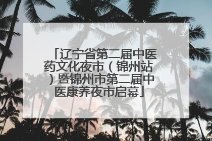 辽宁省第二届中医药文化夜市（锦州站）暨锦州市第二届中医康养夜市启幕