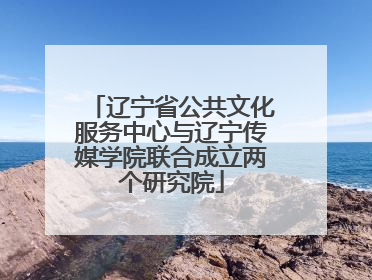 辽宁省公共文化服务中心与辽宁传媒学院联合成立两个研究院