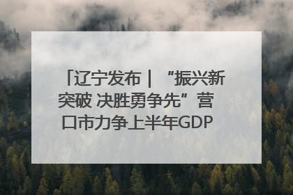 辽宁发布｜“振兴新突破 决胜勇争先”营口市力争上半年GDP增长6%左右