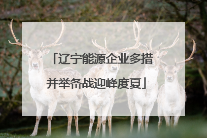 辽宁能源企业多措并举备战迎峰度夏