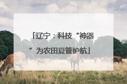 辽宁：科技“神器”为农田夏管护航