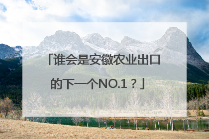 谁会是安徽农业出口的下一个NO.1？