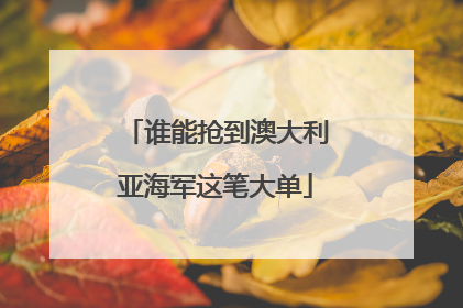 谁能抢到澳大利亚海军这笔大单