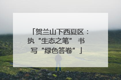 贺兰山下西夏区：执“生态之笔” 书写“绿色答卷”