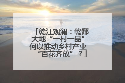 赣江观澜：赣鄱大地“一村一品”何以推动乡村产业“百花齐放”？