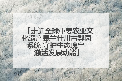 走近全球重要农业文化遗产皋兰什川古梨园系统 守护生态瑰宝 激活发展动能