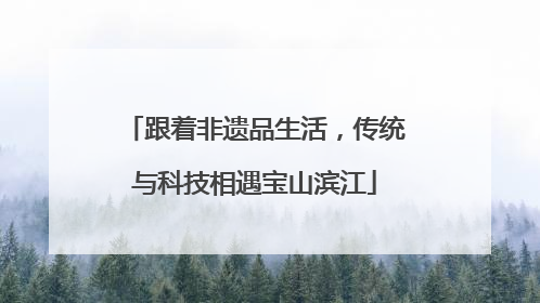 跟着非遗品生活，传统与科技相遇宝山滨江