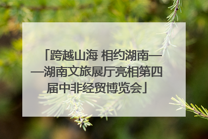 跨越山海 相约湖南——湖南文旅展厅亮相第四届中非经贸博览会