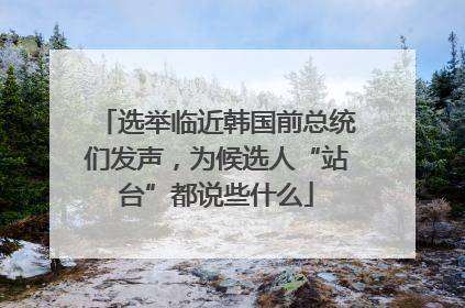 选举临近韩国前总统们发声，为候选人“站台”都说些什么