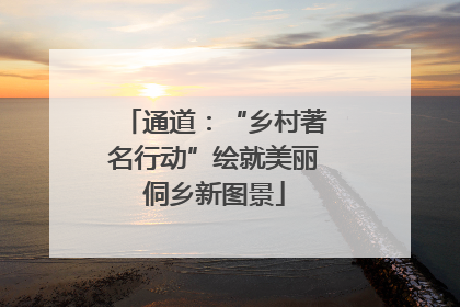 通道：“乡村著名行动”绘就美丽侗乡新图景