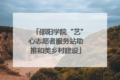 邵阳学院“艺”心志愿者服务站助推和美乡村建设
