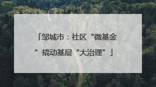 邹城市：社区“微基金”撬动基层“大治理”