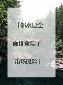 邻水县全面排查粽子市场风险