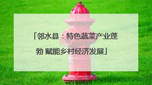 邻水县：特色蔬菜产业蓬勃 赋能乡村经济发展
