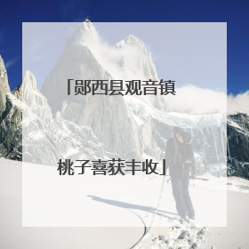 郧西县观音镇桃子喜获丰收