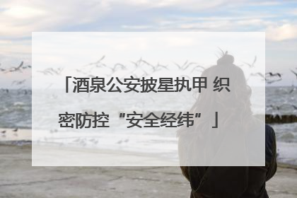 酒泉公安披星执甲 织密防控“安全经纬”