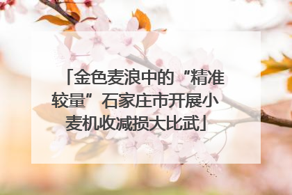 金色麦浪中的“精准较量”石家庄市开展小麦机收减损大比武