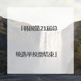 韩国第21届总统选举投票结束